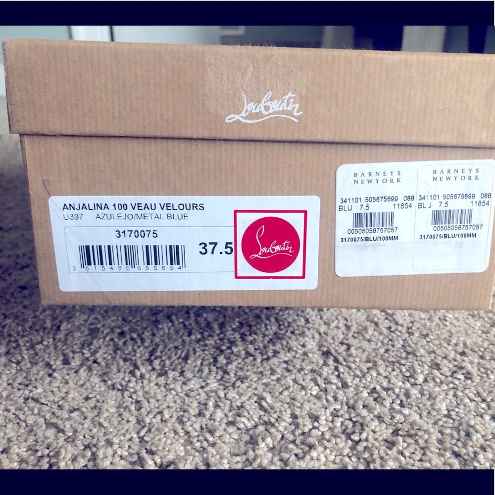 Size 37.5 Anjalina 100mm pumps